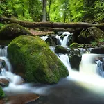 Hotel Harz Vogelberg 3*