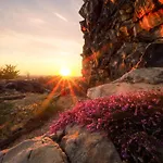 Hotel Harz Vogelberg 3*