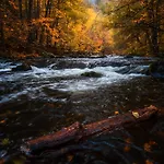 Hotel Harz Vogelberg 3*