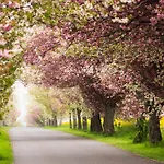 Hotel Harz Vogelberg