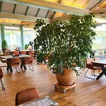 Harz Vogelberg Blankenburg (Harz)