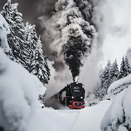 酒店 Harz Vogelberg 布兰肯堡