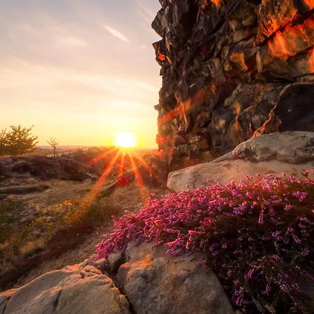 酒店 Harz Vogelberg *