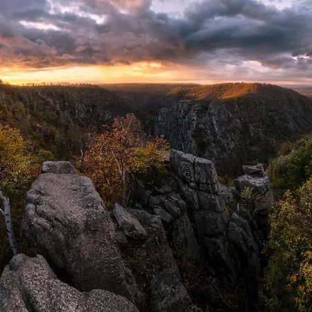 Harz Vogelberg ホテル 3*