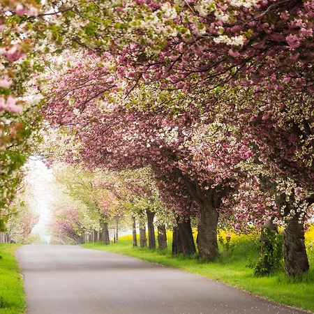 酒店 Harz Vogelberg