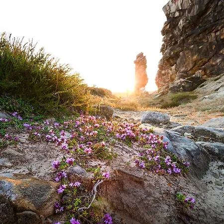 Harz Vogelberg ホテル 3*