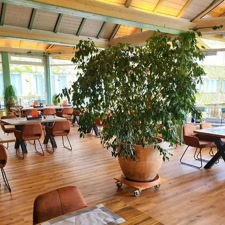 Harz Vogelberg 布兰肯堡