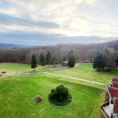 Harz Vogelberg 布兰肯堡