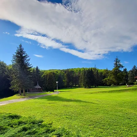 Harz Vogelberg 布兰肯堡