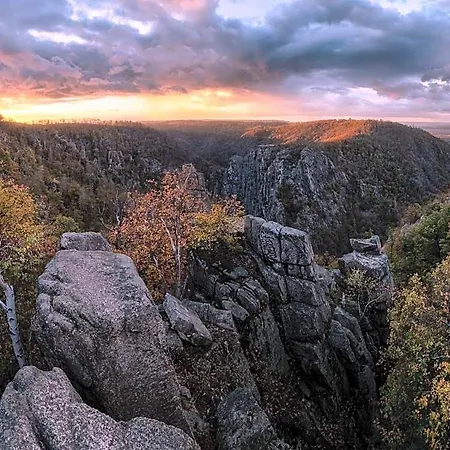 Hotel Harz Vogelberg