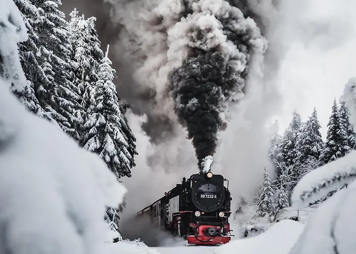 酒店 Harz Vogelberg 布兰肯堡