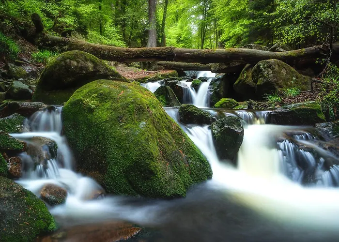 酒店 Harz Vogelberg 3*