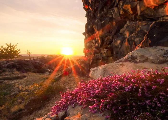 Hotell Harz Vogelberg 3*