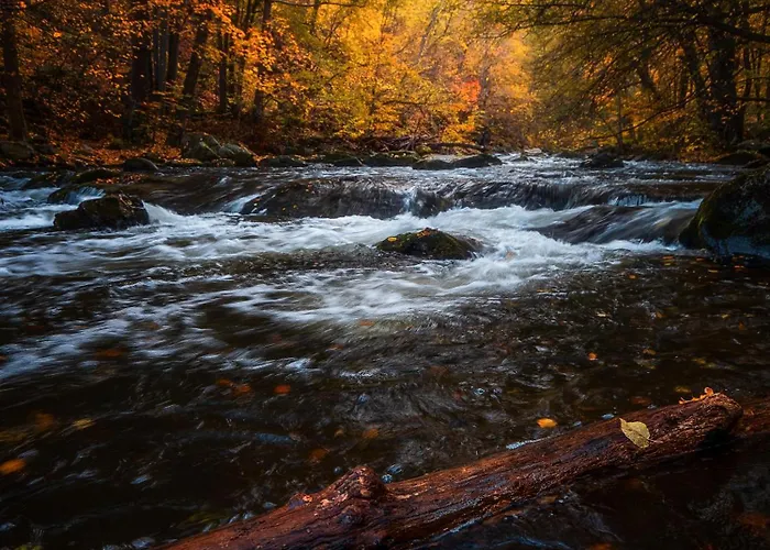 酒店 Harz Vogelberg 3*