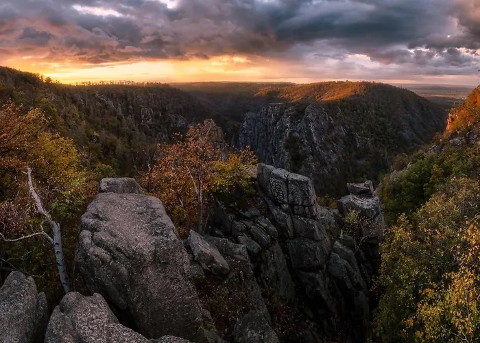 Harz Vogelberg ホテル 3*