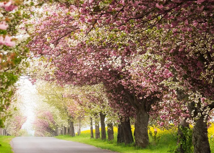 ホテル Harz Vogelberg