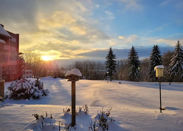 Harz Vogelberg Blankenburg (Harz)
