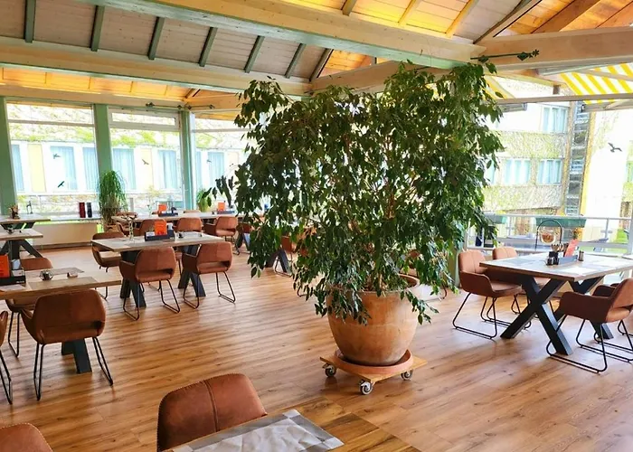 Harz Vogelberg 布兰肯堡