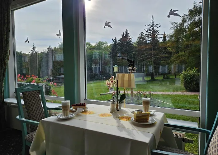 酒店 Harz Vogelberg 3*