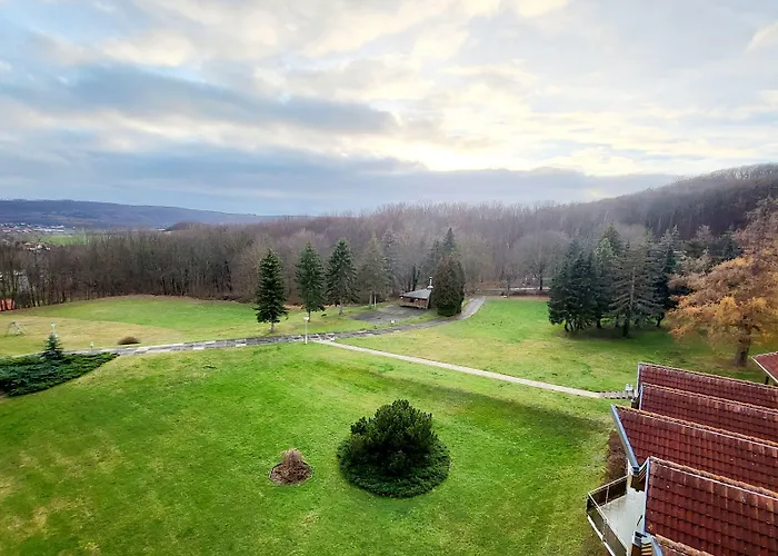 Harz Vogelberg 布兰肯堡