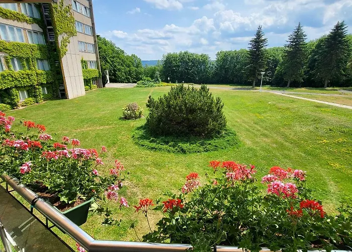 Hotell Harz Vogelberg 3*