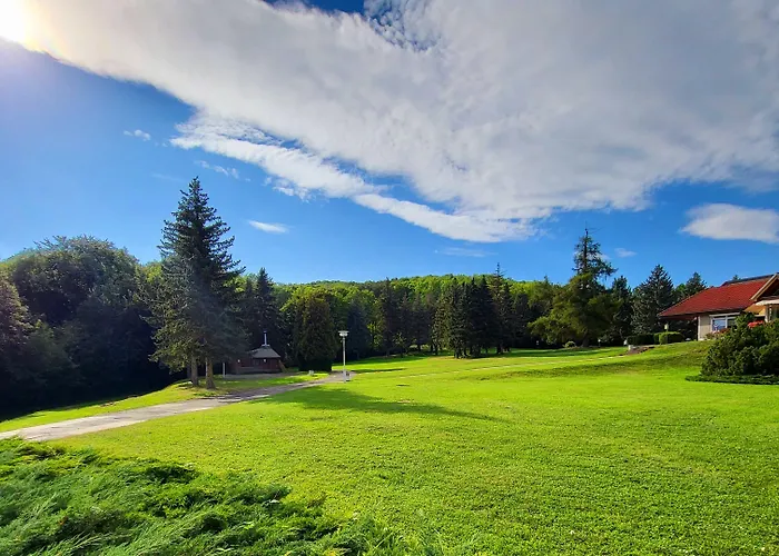 Harz Vogelberg 布兰肯堡